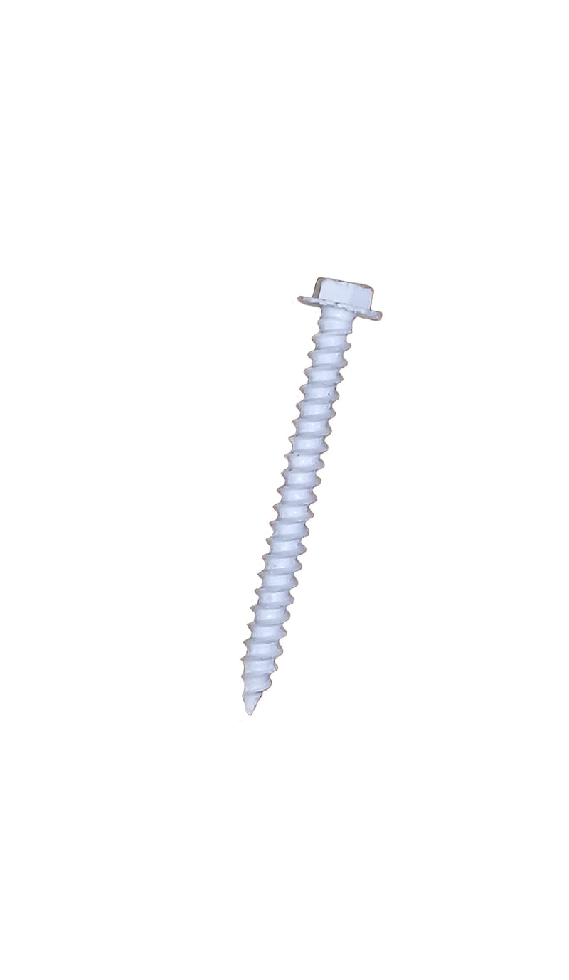 SCREW-2"-WHITE-PKG 25
